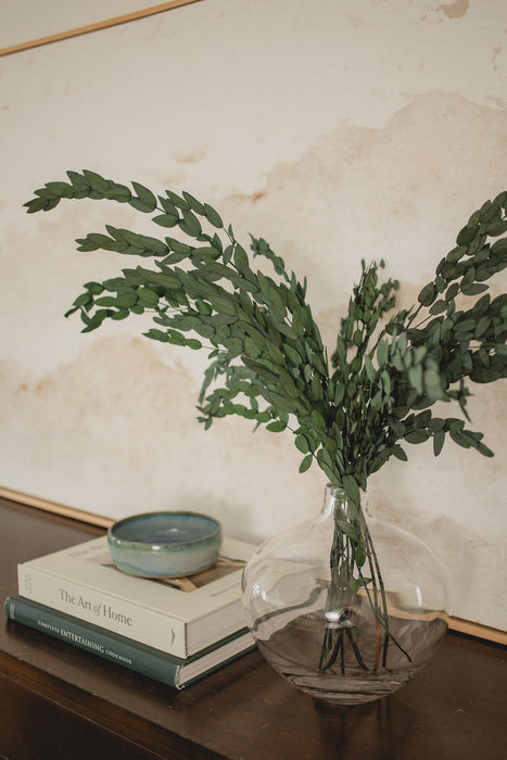 Eucalyptus Parvifolia à petites feuilles /Preserved Short Willow Eucalyptus (Parvifolia)