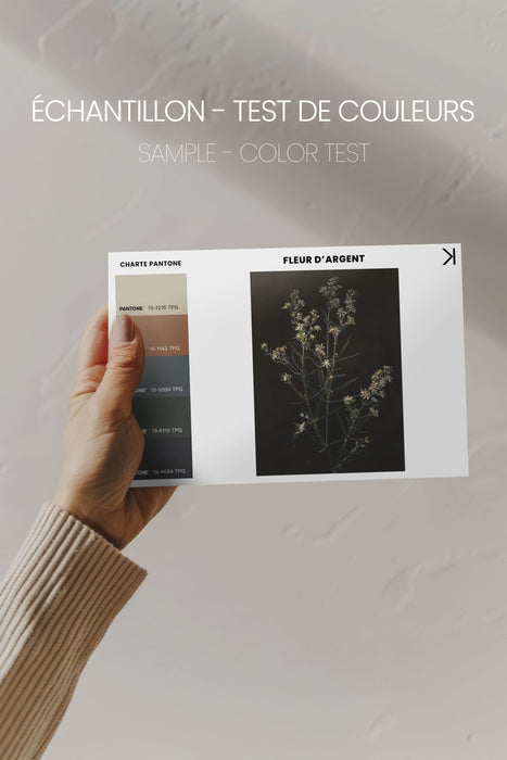 FLEUR D'ARGENT, Oeuvre sur toile étirée