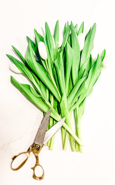 Japan: Scissors with brass handles (L)