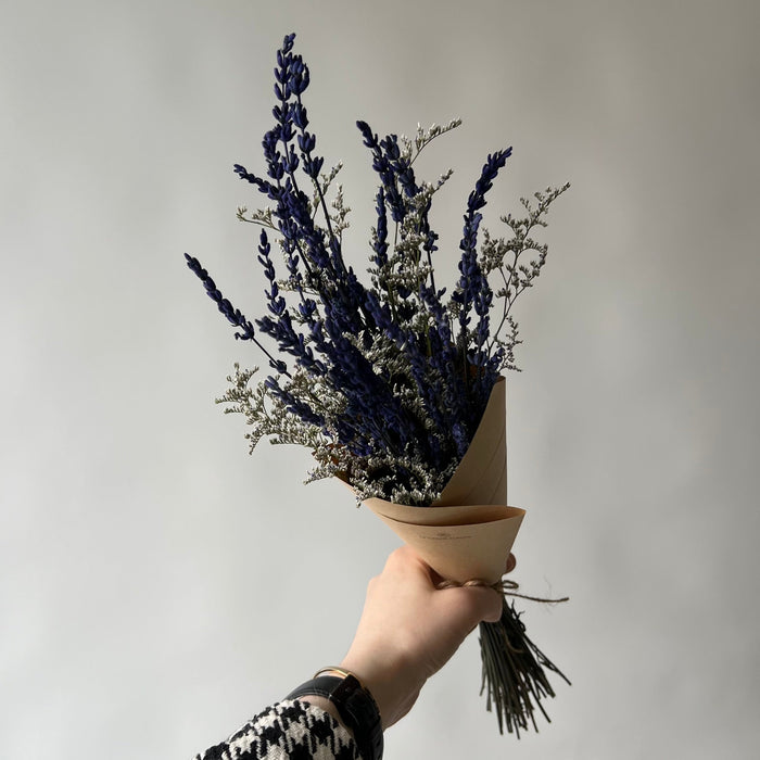 Duo lavande + caspia