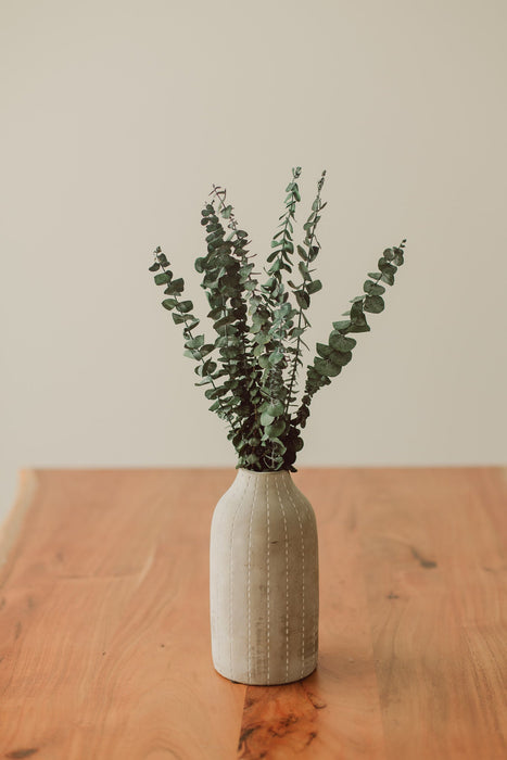 Bouquet de tiges d’eucalyptus / Eucalyptus Stem Bundle - *livraison seulement*